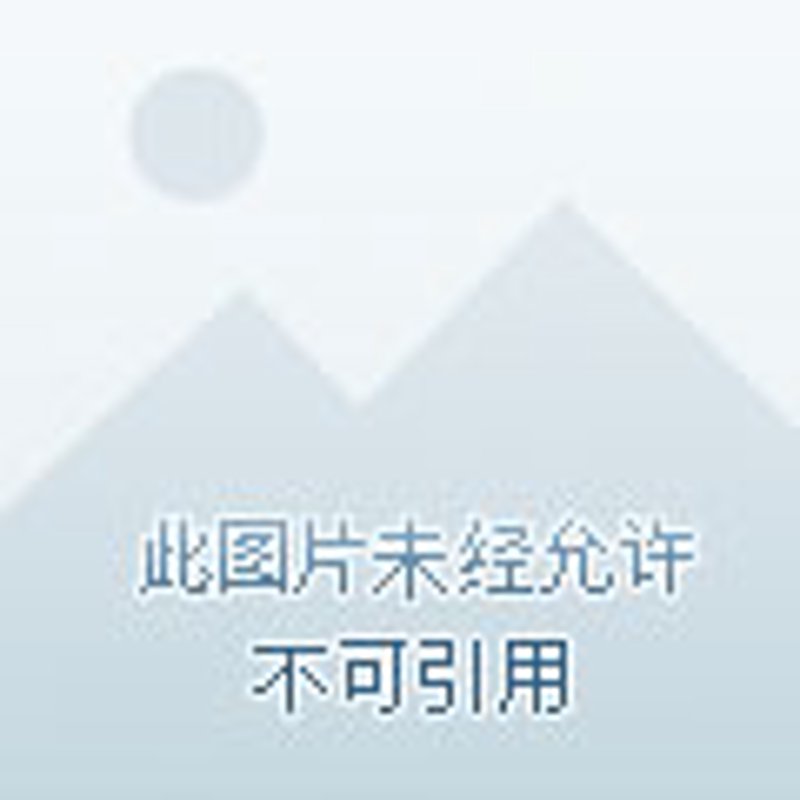 重庆电子商务